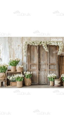 Tło fotograficzne E233